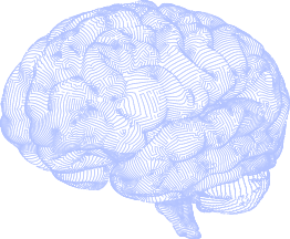 brain